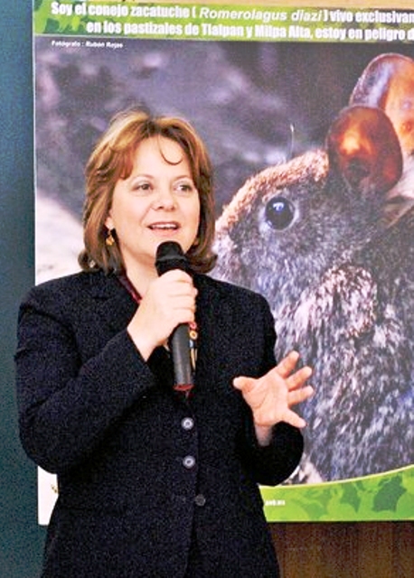Comunicacion y Ecologia. El Plan verde es exitoso 04122012