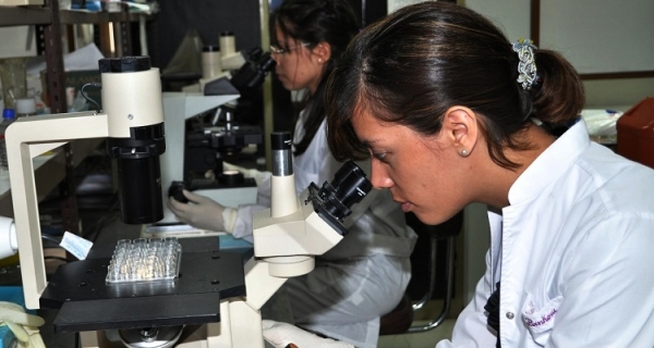 conectividad_pais